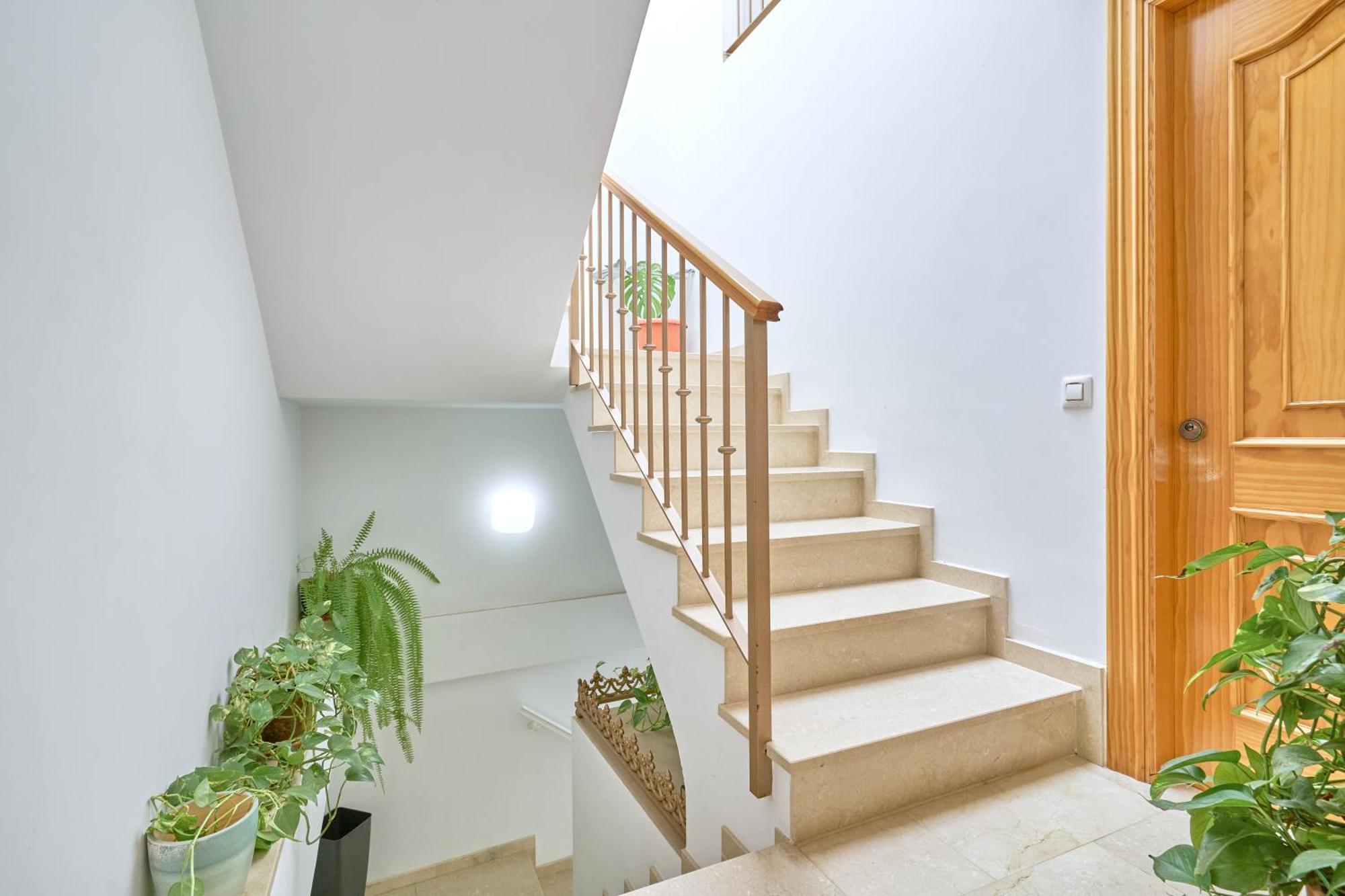 Apartamento Fernandita 네르하 외부 사진